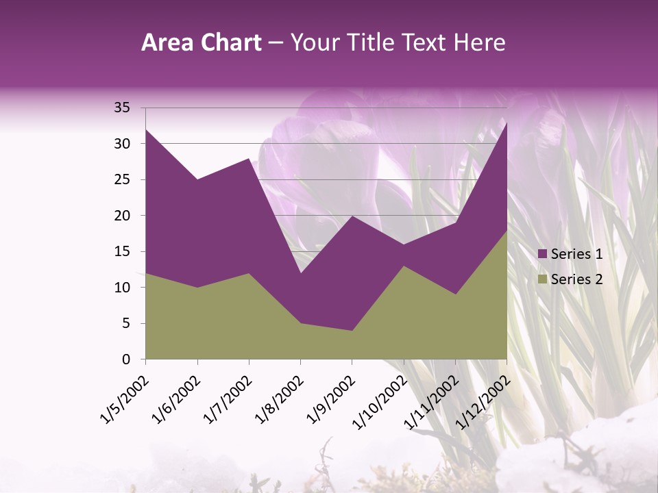 Springtime Petal White PowerPoint Template