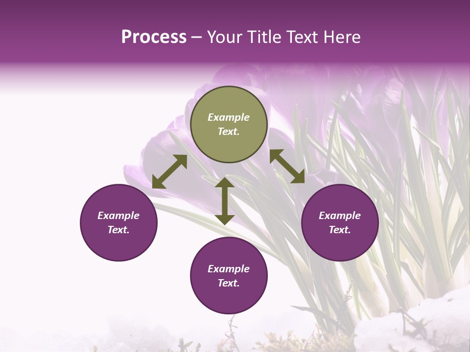Springtime Petal White PowerPoint Template