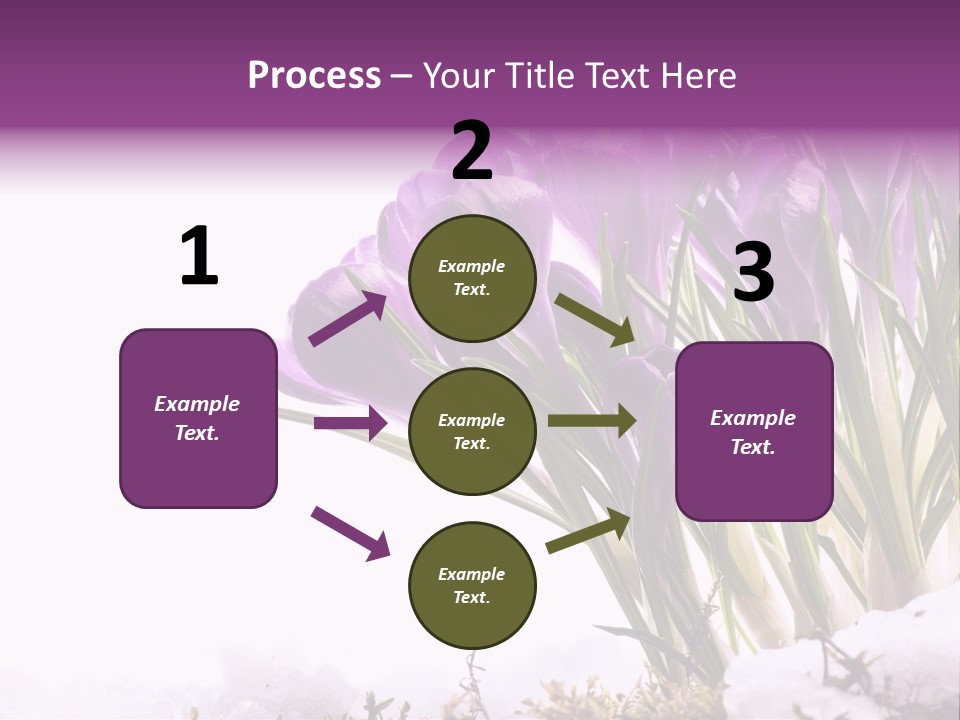 Springtime Petal White PowerPoint Template