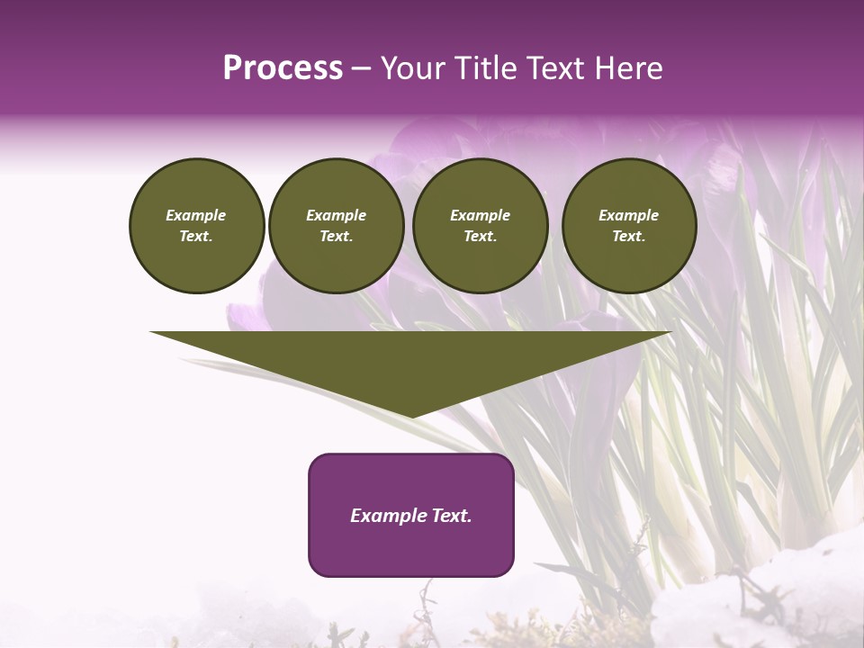 Springtime Petal White PowerPoint Template