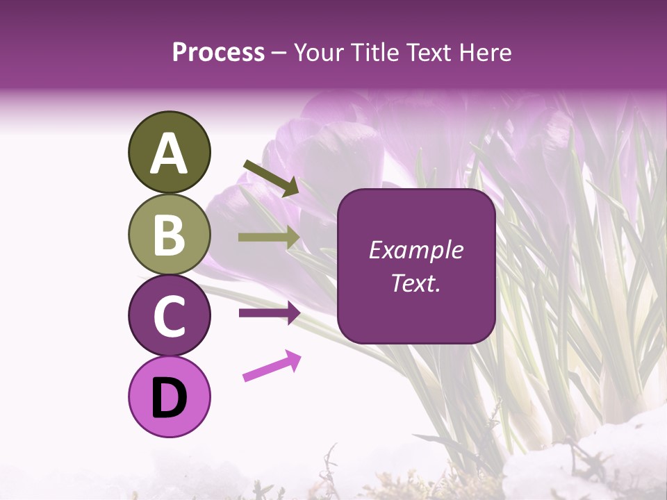 Springtime Petal White PowerPoint Template