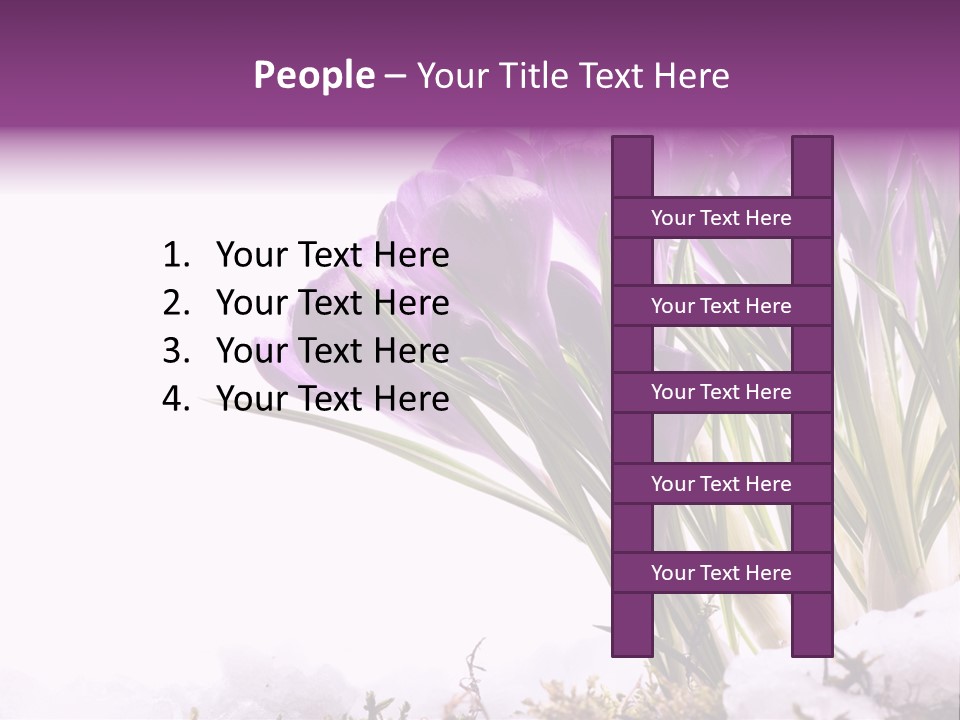 Springtime Petal White PowerPoint Template