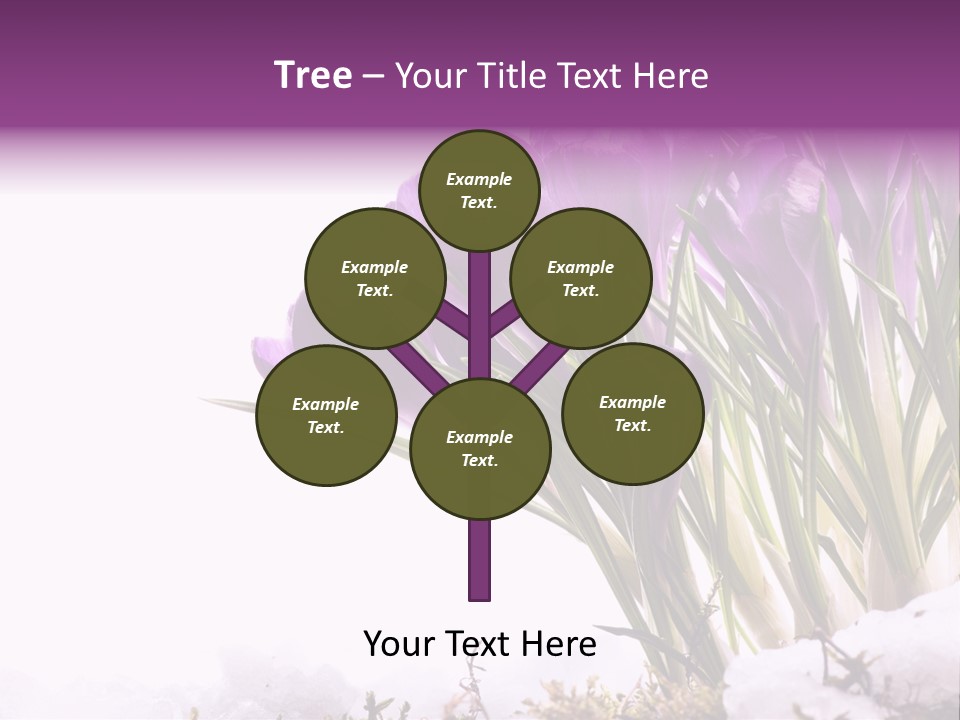 Springtime Petal White PowerPoint Template