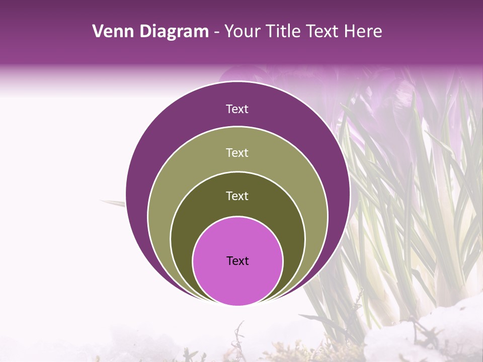 Springtime Petal White PowerPoint Template