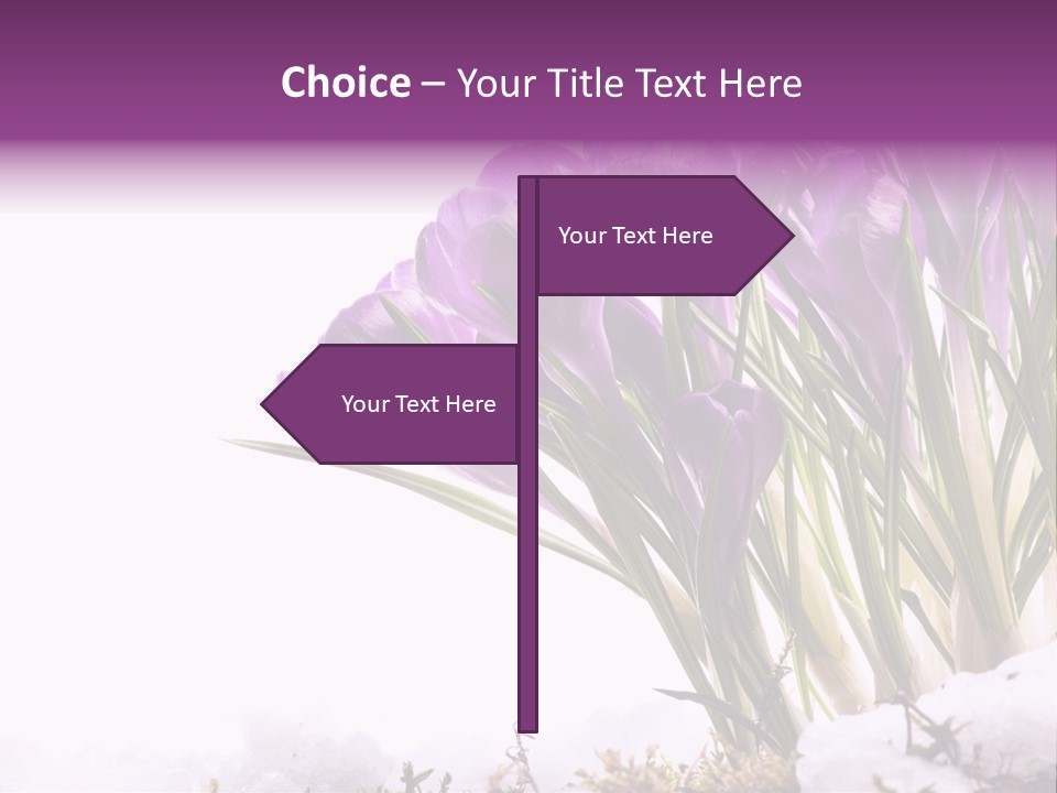 Springtime Petal White PowerPoint Template