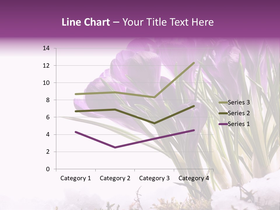 Springtime Petal White PowerPoint Template