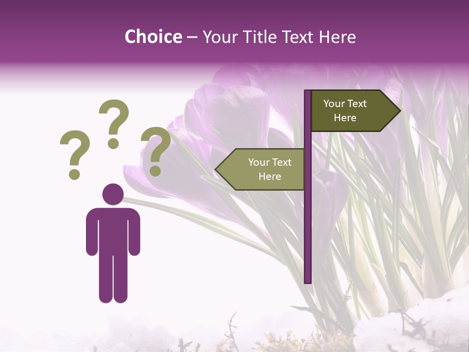 Springtime Petal White PowerPoint Template