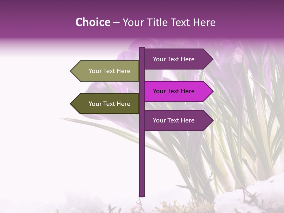 Springtime Petal White PowerPoint Template