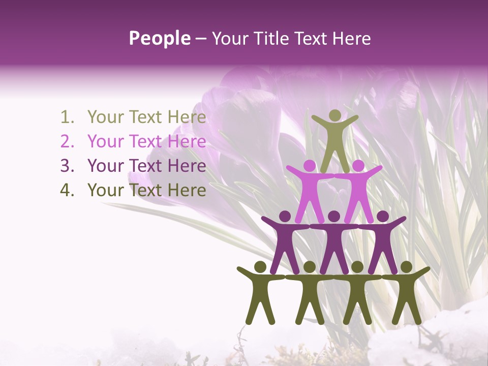 Springtime Petal White PowerPoint Template