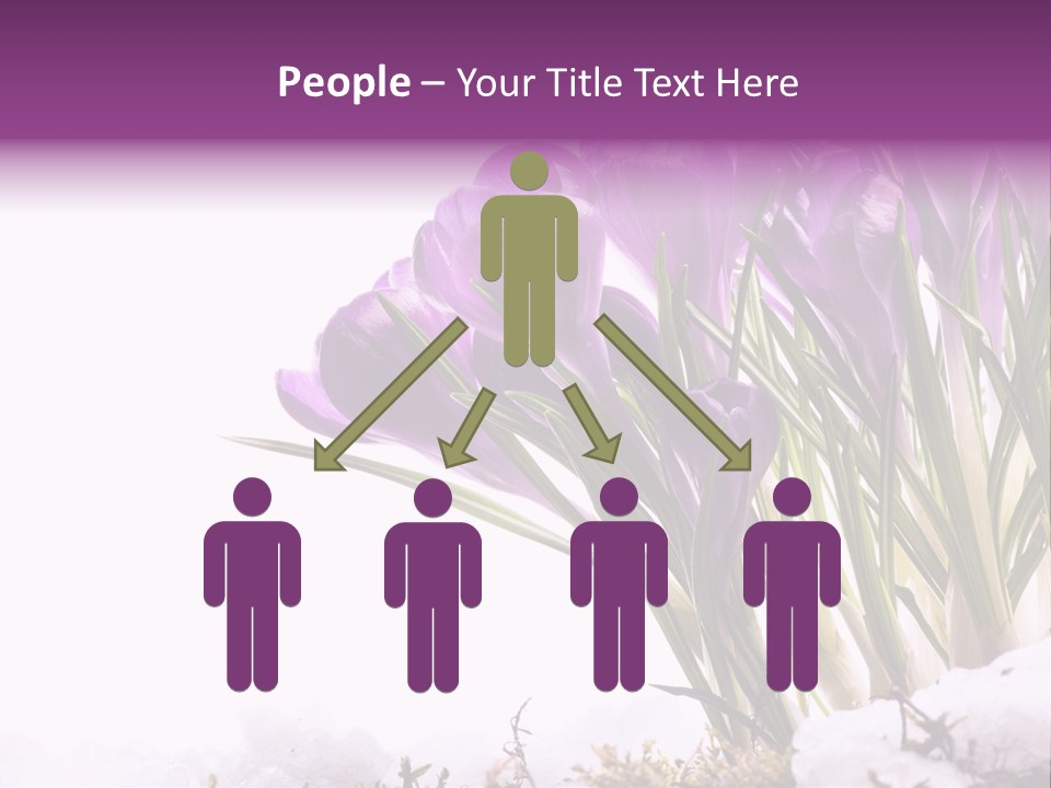 Springtime Petal White PowerPoint Template