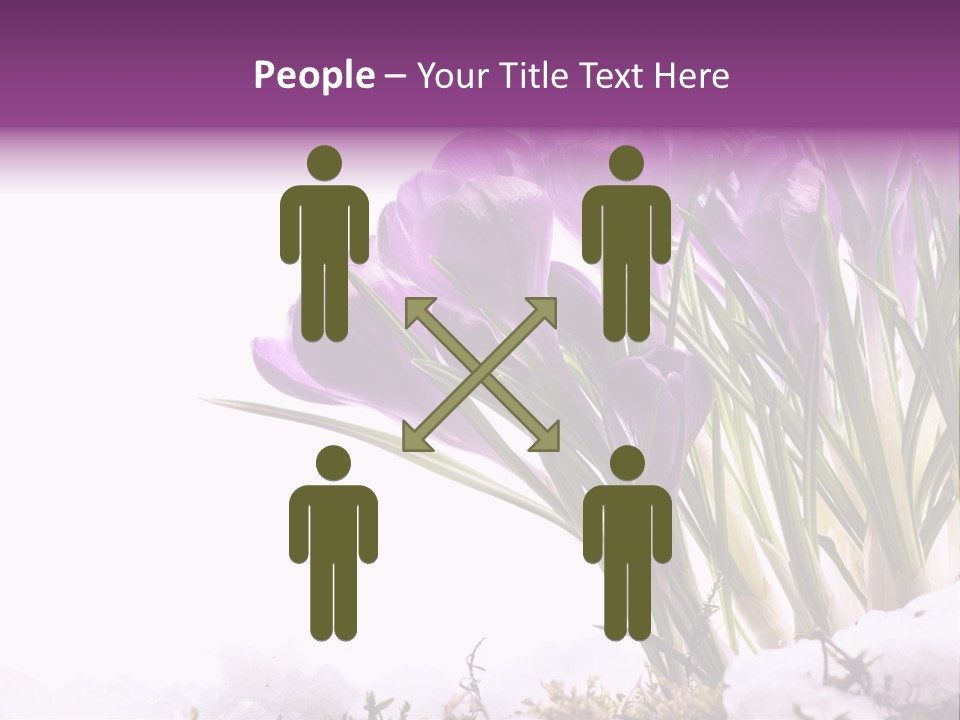 Springtime Petal White PowerPoint Template