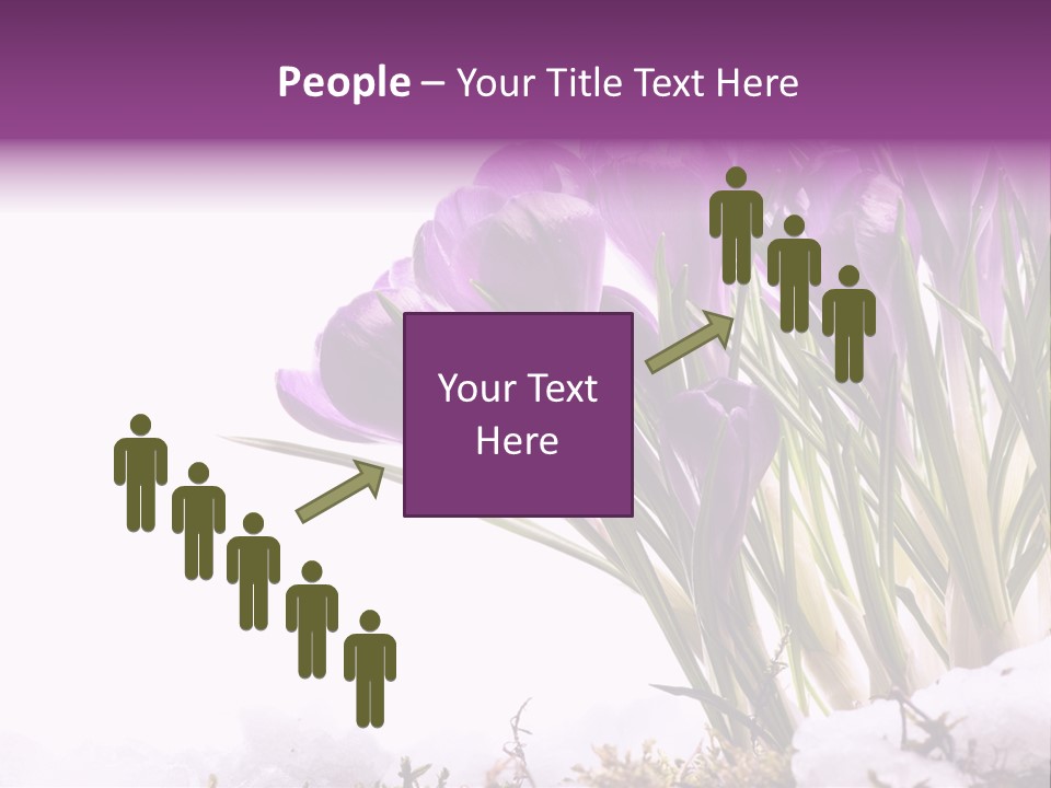 Springtime Petal White PowerPoint Template