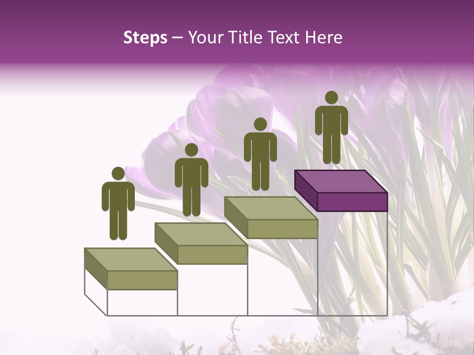 Springtime Petal White PowerPoint Template