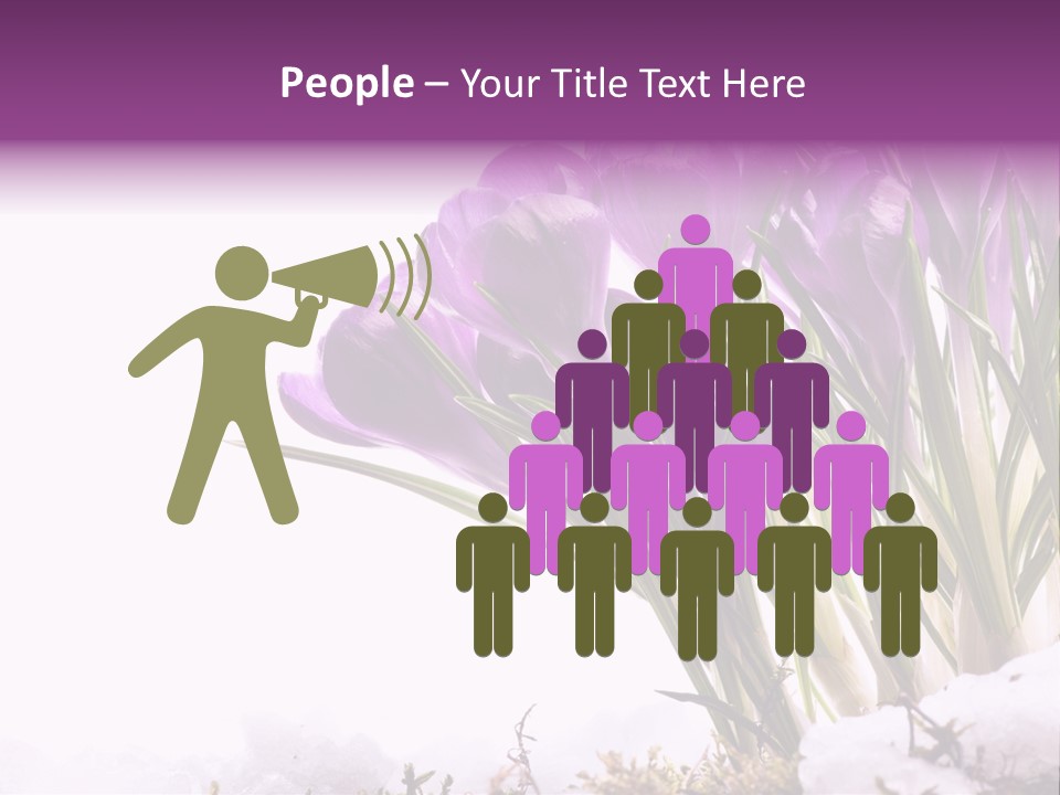 Springtime Petal White PowerPoint Template