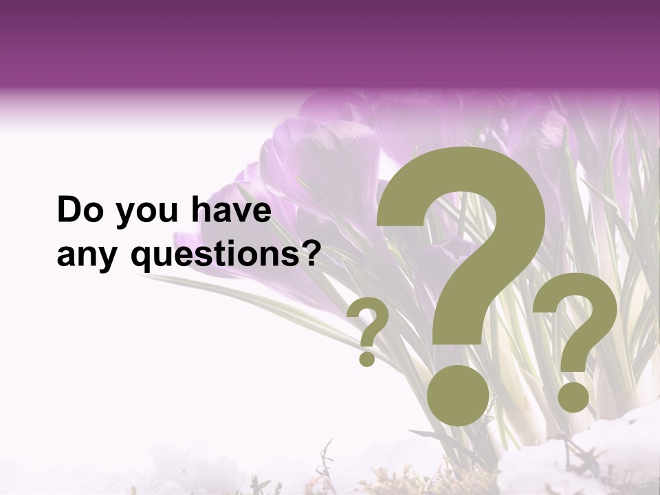 Springtime Petal White PowerPoint Template