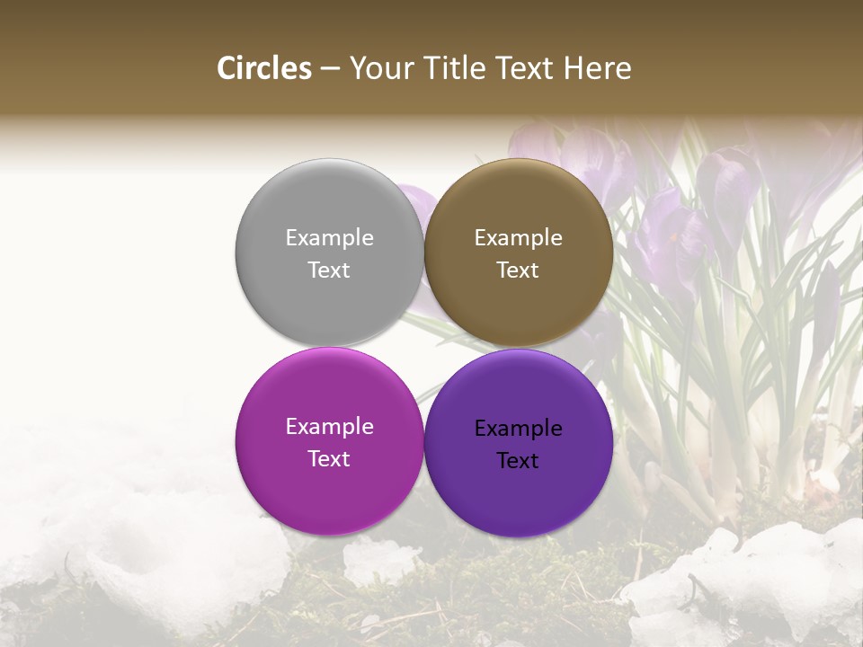 Melting Space Meadow PowerPoint Template