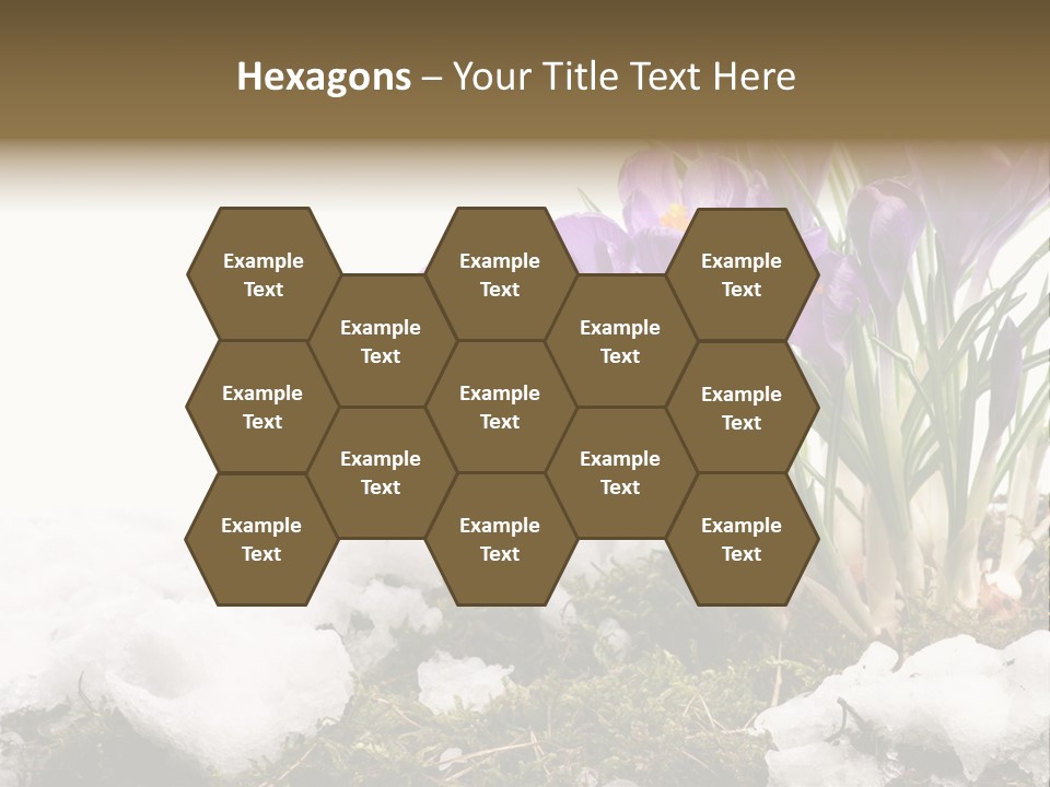 Melting Space Meadow PowerPoint Template