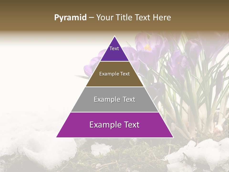 Melting Space Meadow PowerPoint Template