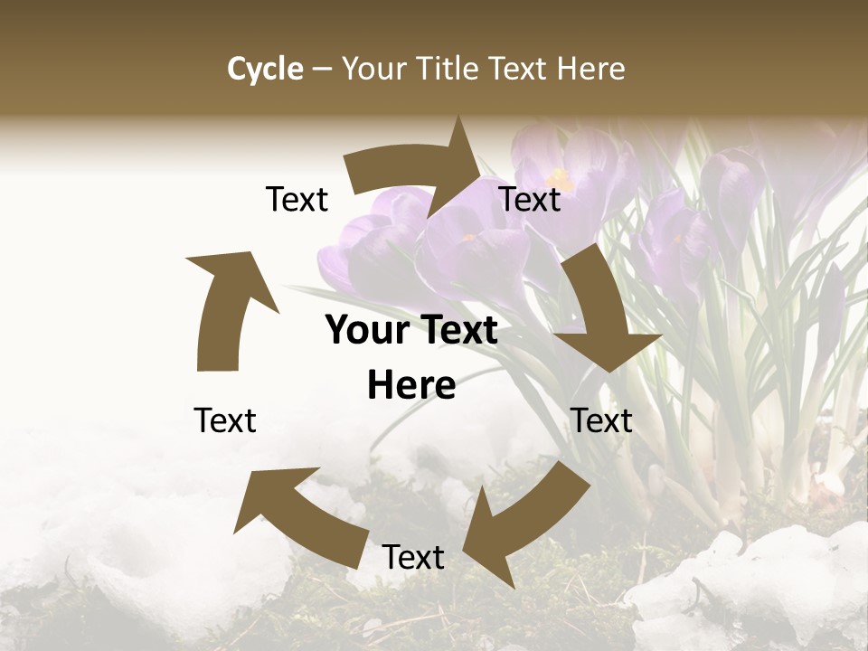 Melting Space Meadow PowerPoint Template
