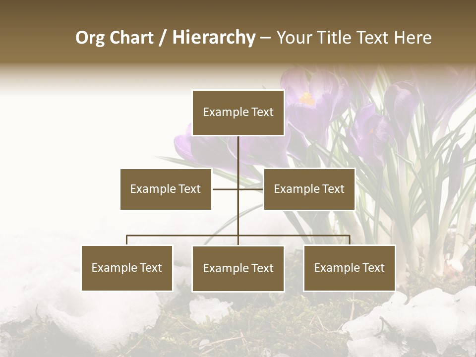 Melting Space Meadow PowerPoint Template