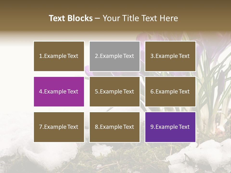 Melting Space Meadow PowerPoint Template