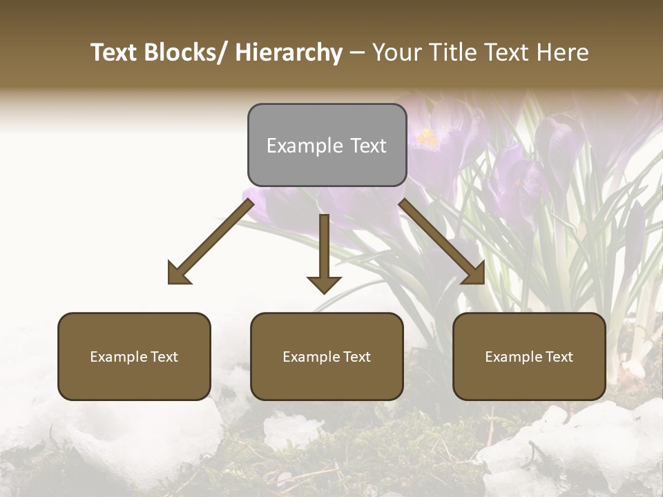 Melting Space Meadow PowerPoint Template