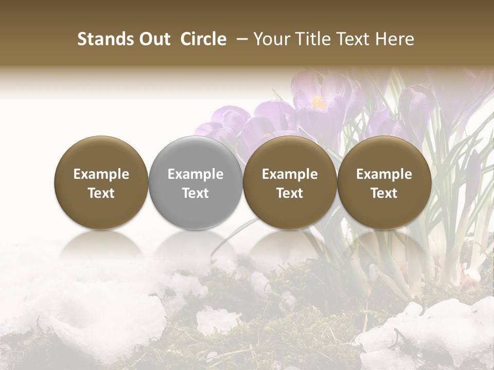 Melting Space Meadow PowerPoint Template