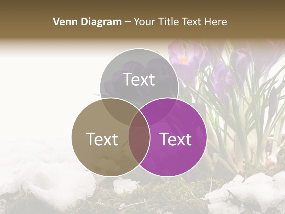 Melting Space Meadow PowerPoint Template