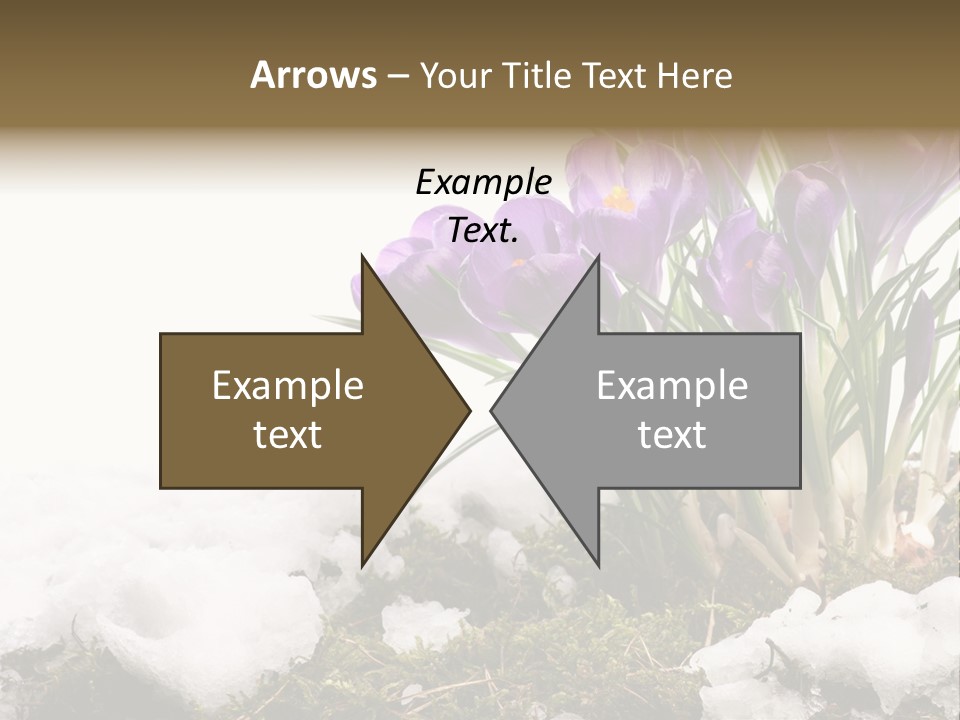 Melting Space Meadow PowerPoint Template