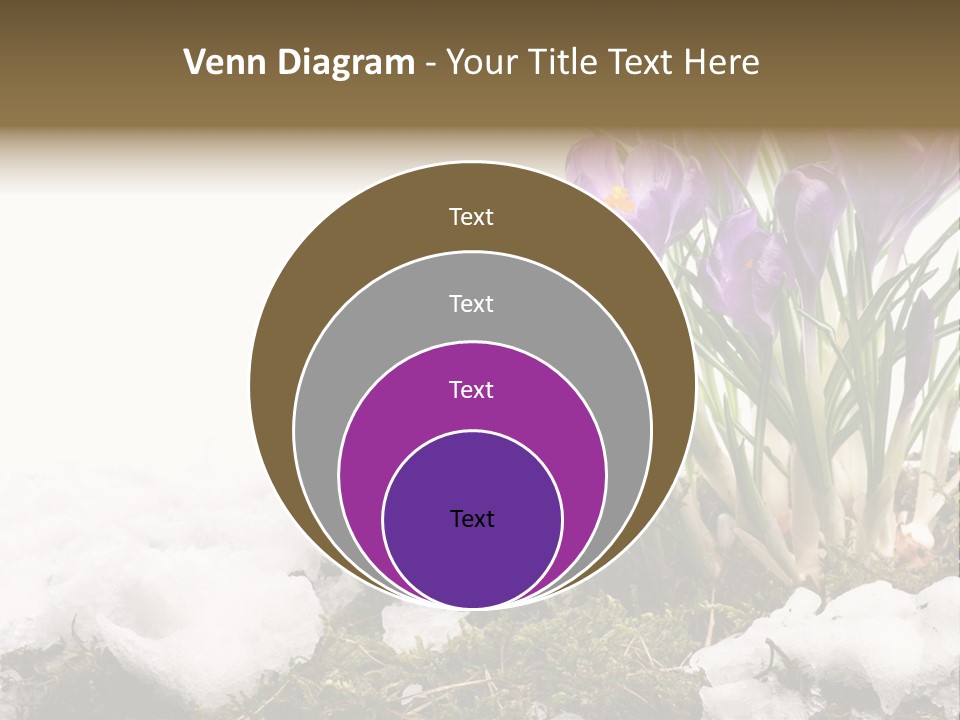 Melting Space Meadow PowerPoint Template