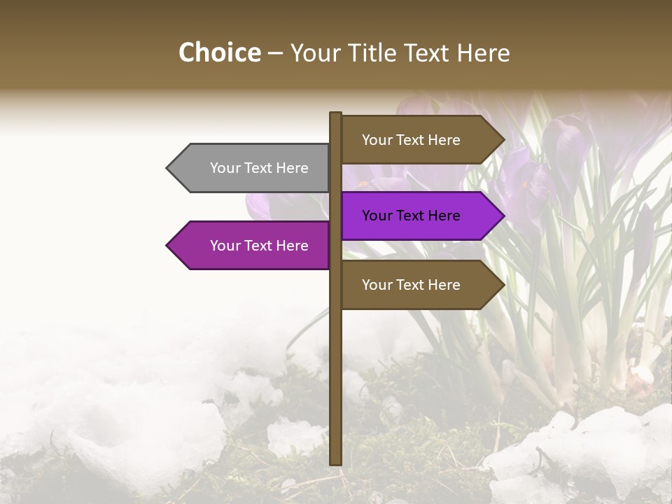 Melting Space Meadow PowerPoint Template