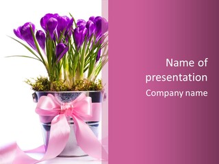 Decoration Present Elegant PowerPoint Template