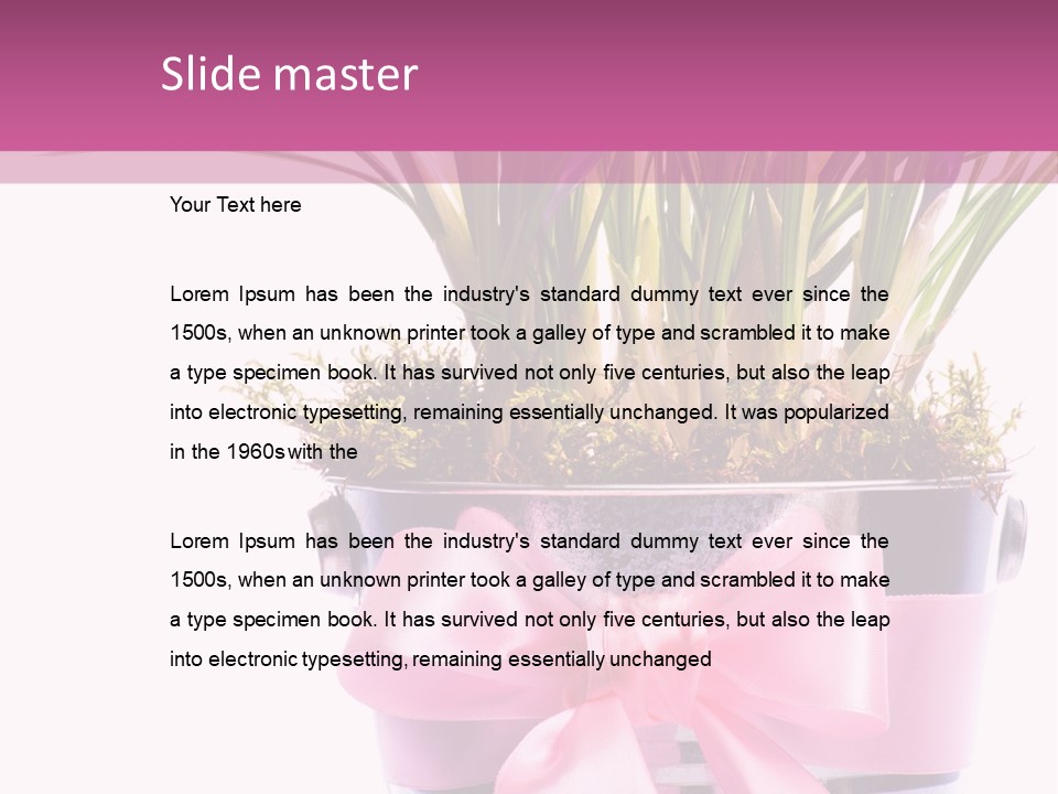 Decoration Present Elegant PowerPoint Template