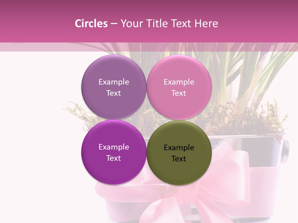 Decoration Present Elegant PowerPoint Template
