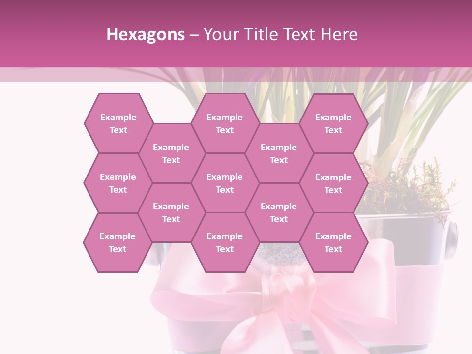 Decoration Present Elegant PowerPoint Template