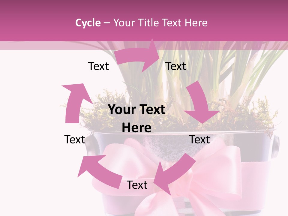 Decoration Present Elegant PowerPoint Template