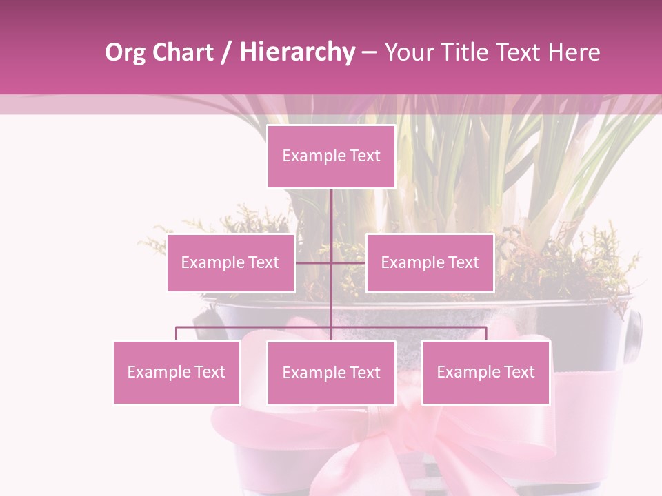 Decoration Present Elegant PowerPoint Template