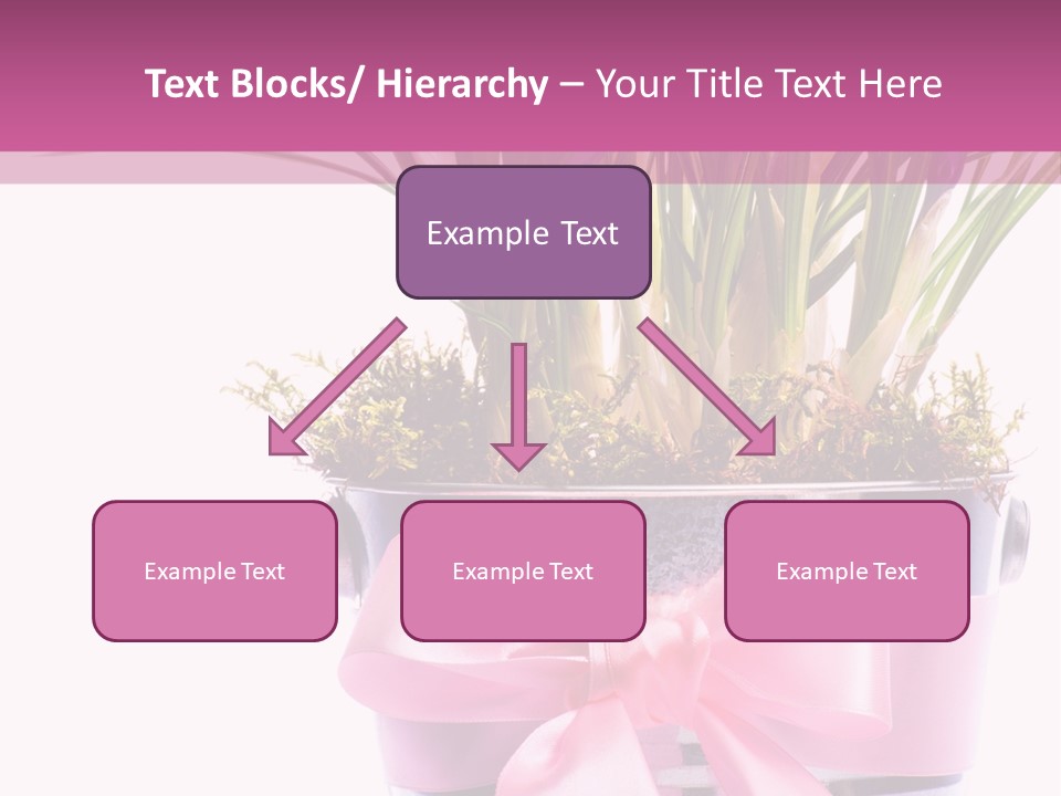 Decoration Present Elegant PowerPoint Template