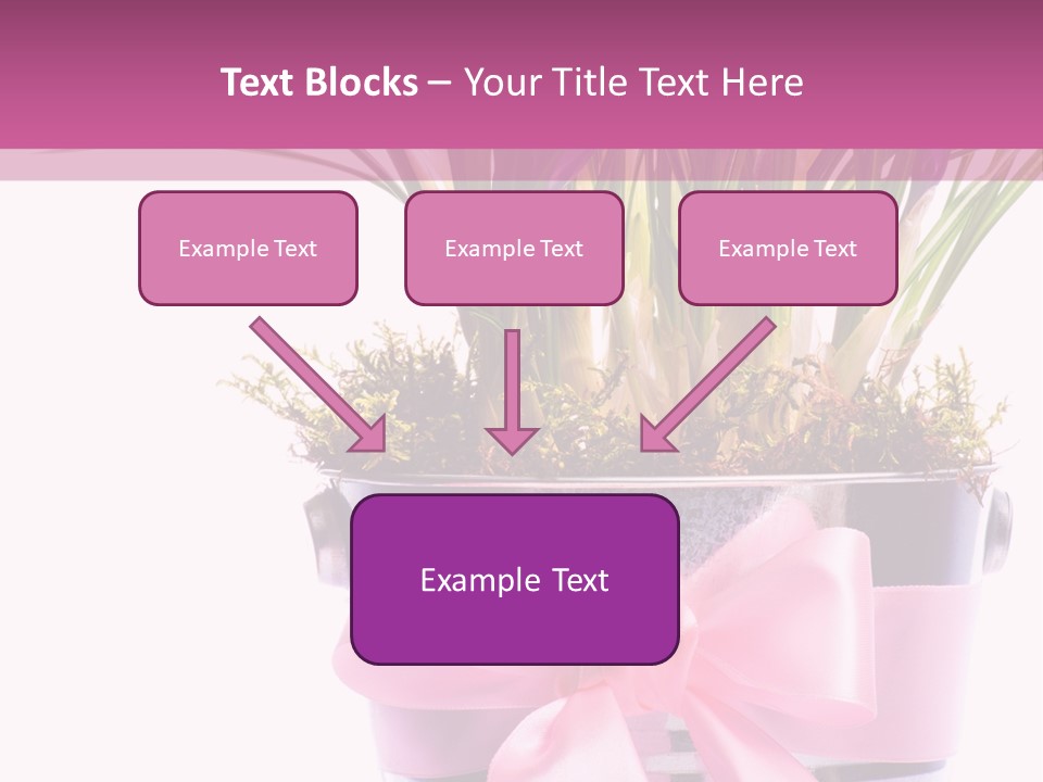 Decoration Present Elegant PowerPoint Template