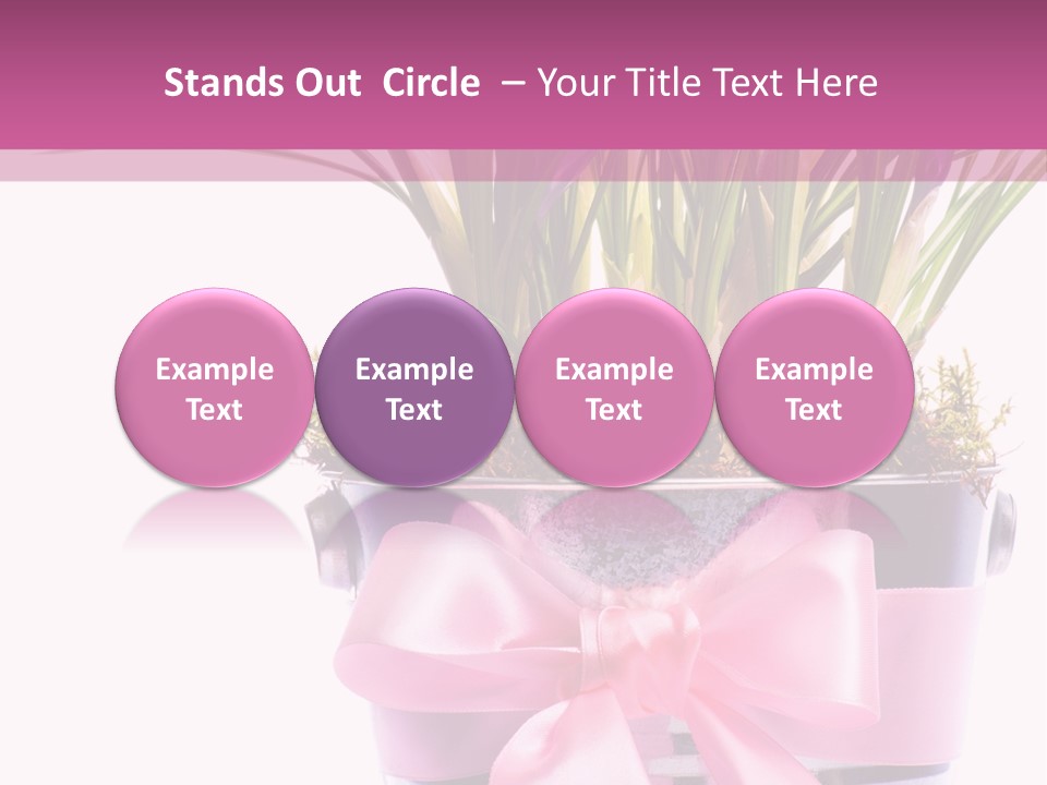 Decoration Present Elegant PowerPoint Template
