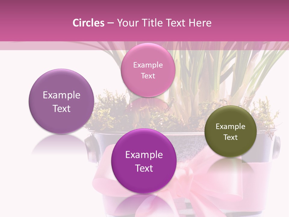 Decoration Present Elegant PowerPoint Template