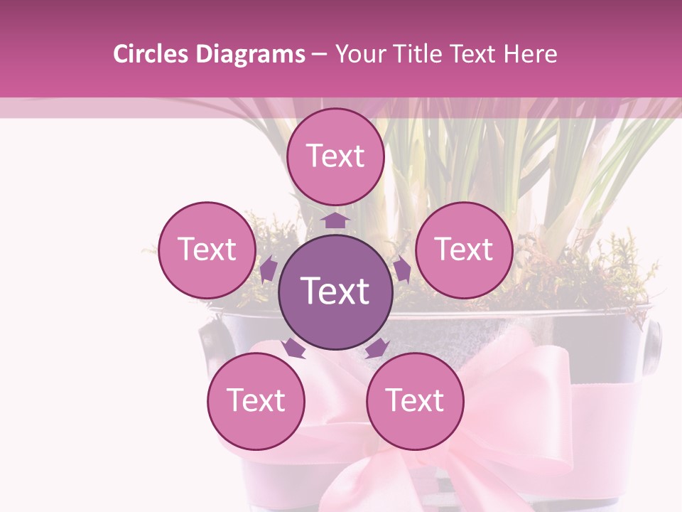 Decoration Present Elegant PowerPoint Template
