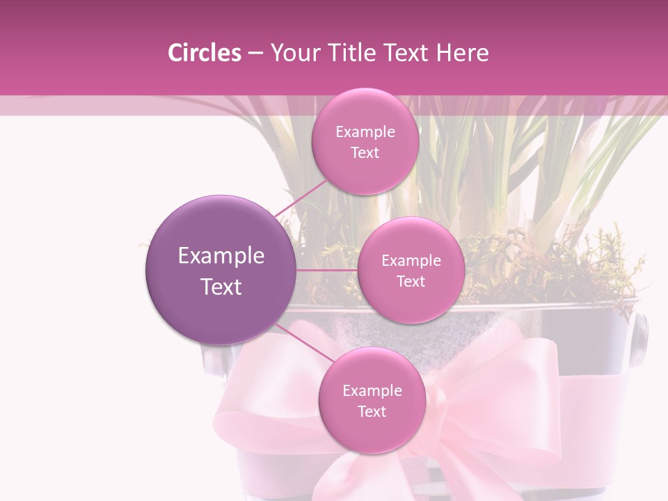 Decoration Present Elegant PowerPoint Template