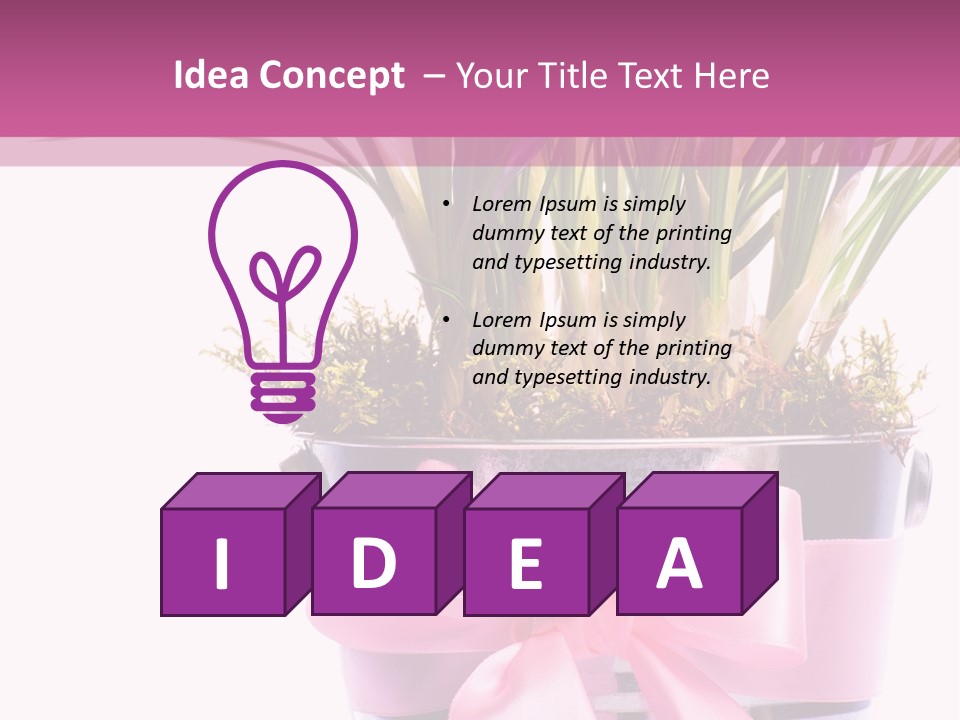 Decoration Present Elegant PowerPoint Template