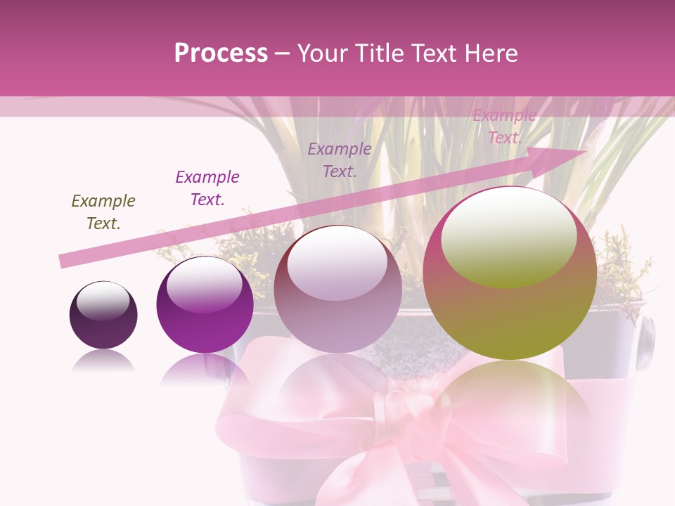 Decoration Present Elegant PowerPoint Template