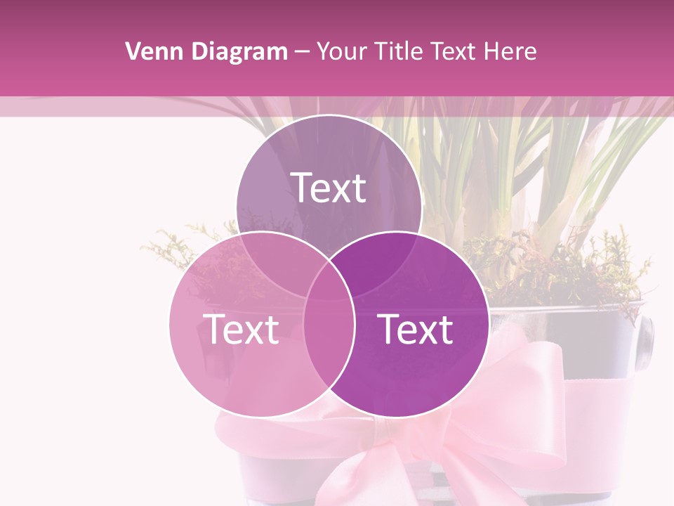 Decoration Present Elegant PowerPoint Template