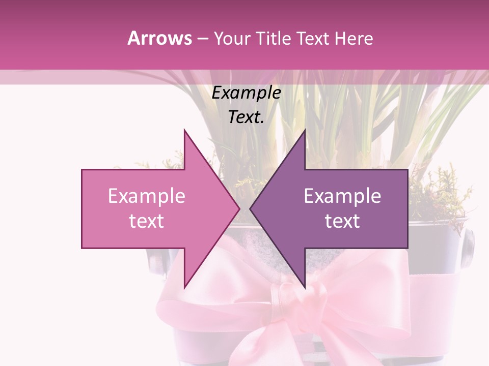 Decoration Present Elegant PowerPoint Template
