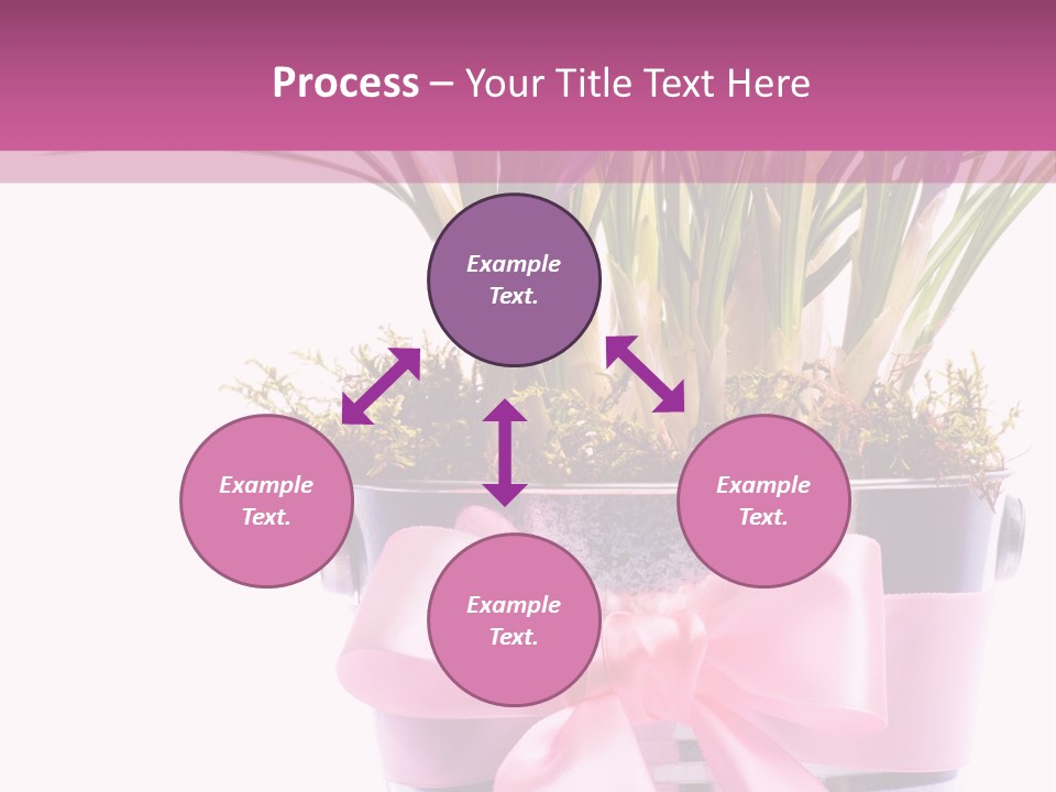 Decoration Present Elegant PowerPoint Template