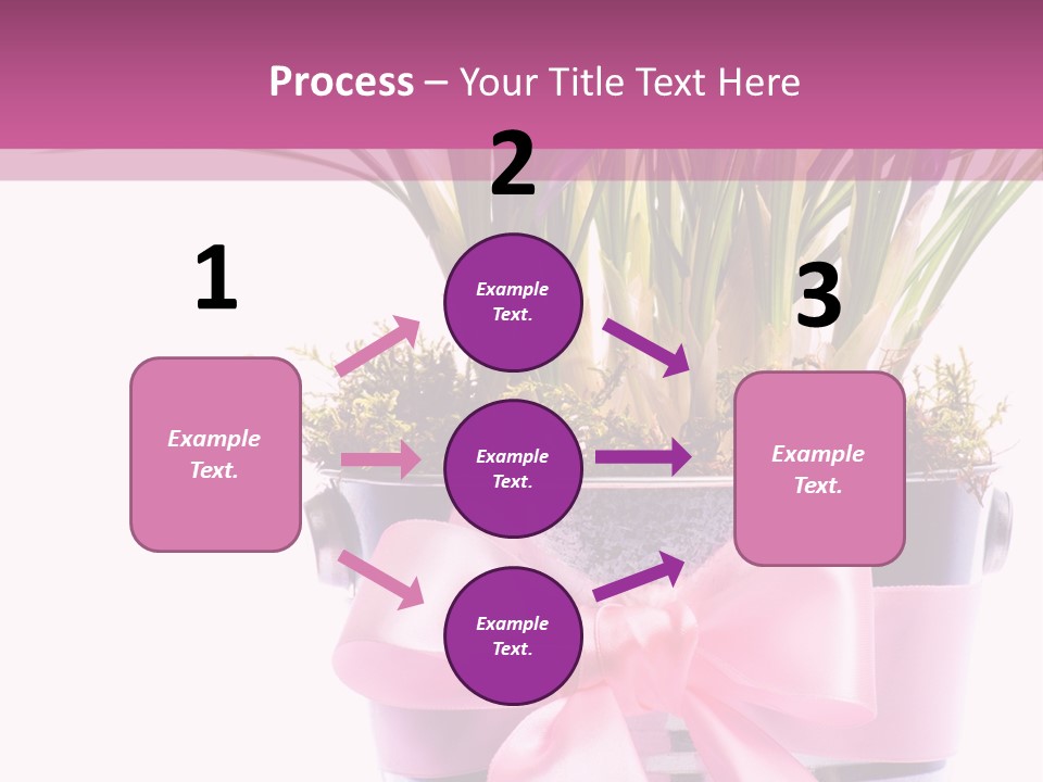 Decoration Present Elegant PowerPoint Template