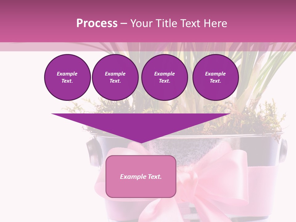 Decoration Present Elegant PowerPoint Template